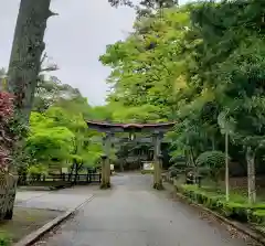 鳥取東照宮（樗谿神社）の鳥居