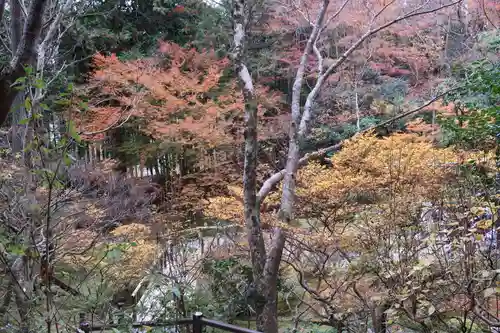 慈照寺（慈照禅寺・銀閣寺）の自然