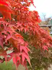 円城寺(岐阜県)