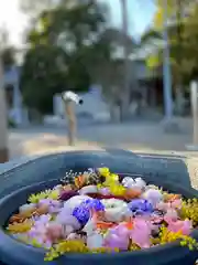 鹿島台神社の手水