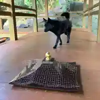 定林山 能成寺の動物