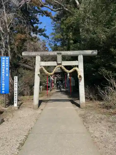 下野 星宮神社の{uncategorized: "未分類", other: "その他", undefined: "問題あり", building: "その他建物", grave: "お墓", sacred_gate: "鳥居", guardian: "狛犬", statue: "像", buddha: "仏像", history: "歴史", nature: "自然", garden: "庭園", animal: "動物", pagoda: "塔", temizu: "手水舎", mountain_gate: "山門・神門", sanctuary: "本殿・本堂", subordinate: "末社・摂社", art: "芸術", scenery: "景色", jizo: "地蔵", ema: "絵馬", goshuin: "御朱印", omikuji: "おみくじ", items: "授与品その他", amulet: "お守り", goshuincho: "御朱印帳", eats: "食事", festival: "お祭り", votive_dance: "神楽", shichigosan: "七五三参", wedding: "結婚式", experience: "体験その他", initially: "初詣", around: "周辺", anti_infection: "感染症対策"}