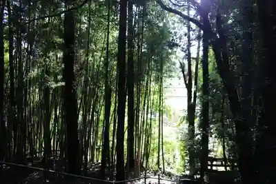 鹿島神社の自然