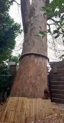 鎮守氷川神社のその他建物
