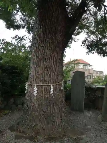 菖蒲神社の自然