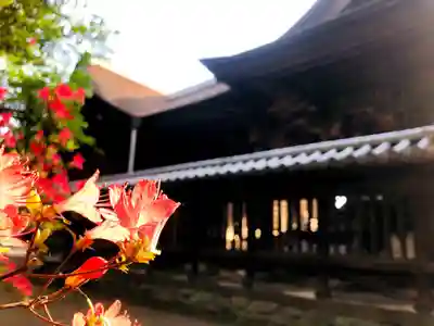須佐能袁神社のその他建物