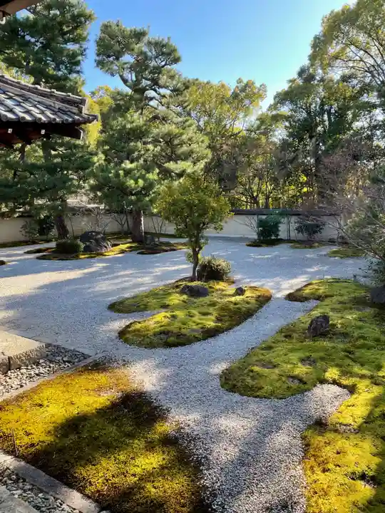 廬山寺(廬山天台講寺)(京都府)