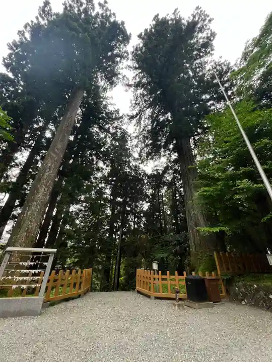 須山浅間神社(静岡県)