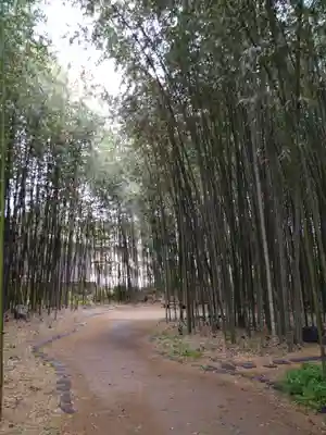 大覚寺(京都府)