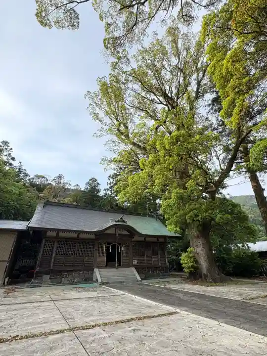 宇佐八幡神社の本殿・本堂