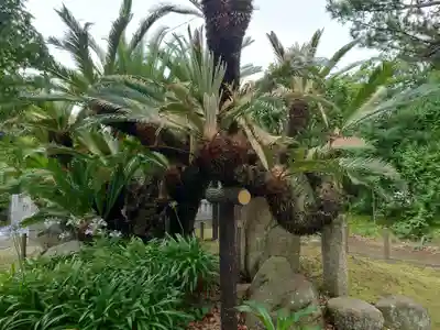 日枝神社(静岡県)