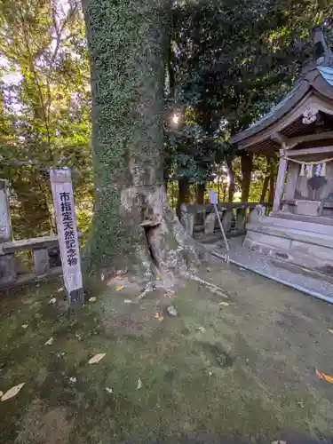 生目神社(宮崎県)