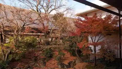 相国寺（相国承天禅寺）(京都府)