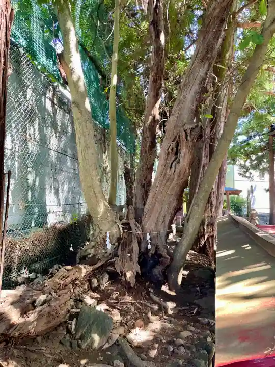 初鹿野諏訪神社(山梨県)