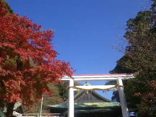 鎌倉宮のその他建物