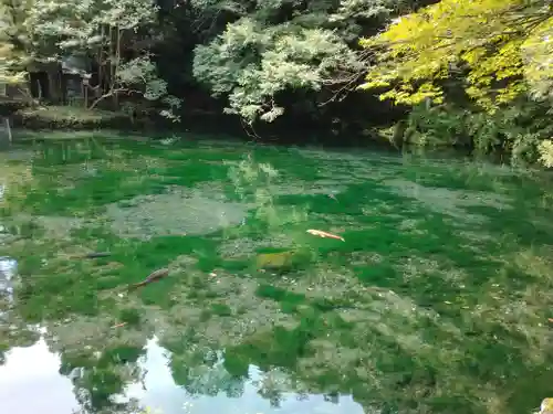 涌釜神社(栃木県)