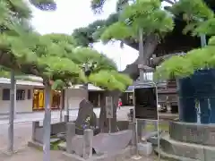 題経寺（柴又帝釈天）の庭園