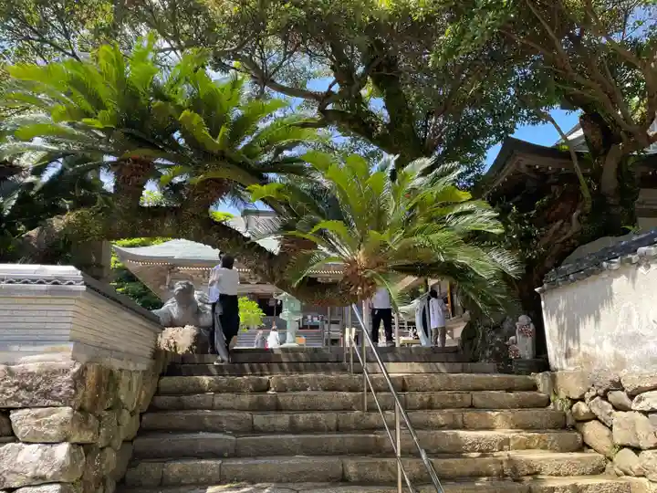 金剛福寺(高知県)