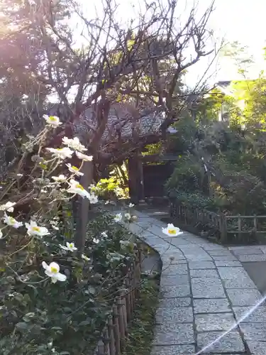 黄梅院（円覚寺塔頭）(神奈川県)