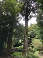 建穂神社の自然