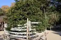 廣瀬大社(奈良県)