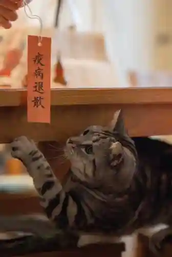北野天満宮(京都府)