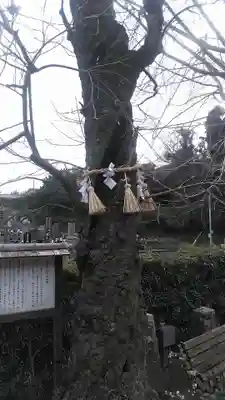 善福寺(長崎県)