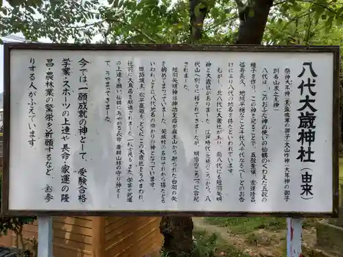 八代大歳神社の歴史