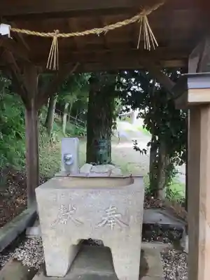 八幡宮の手水舎
