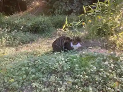 天龍山 誓海寺(愛知県)