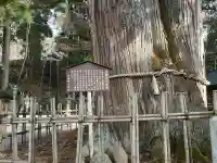 戸隠神社中社(長野県)