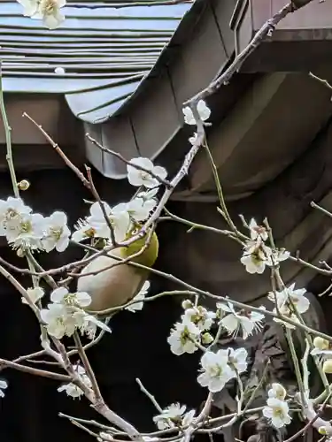 繁榮稲荷神社(東京都)