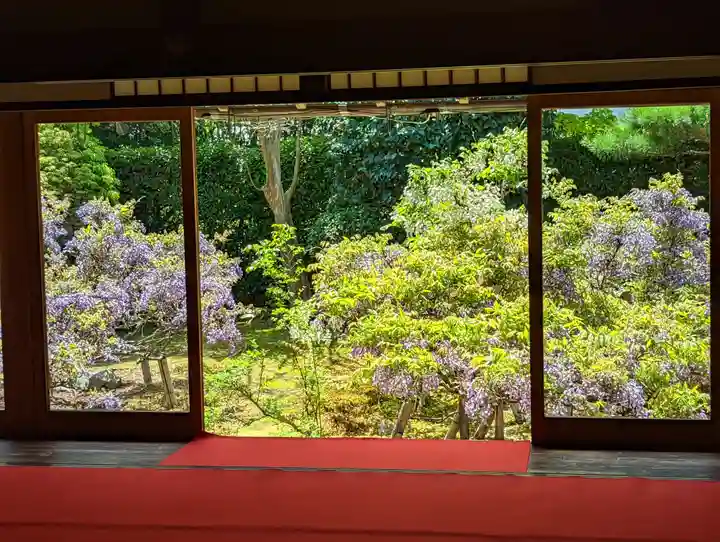 長慶院(京都府)