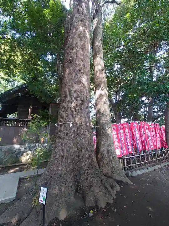 鶴嶺八幡宮(神奈川県)