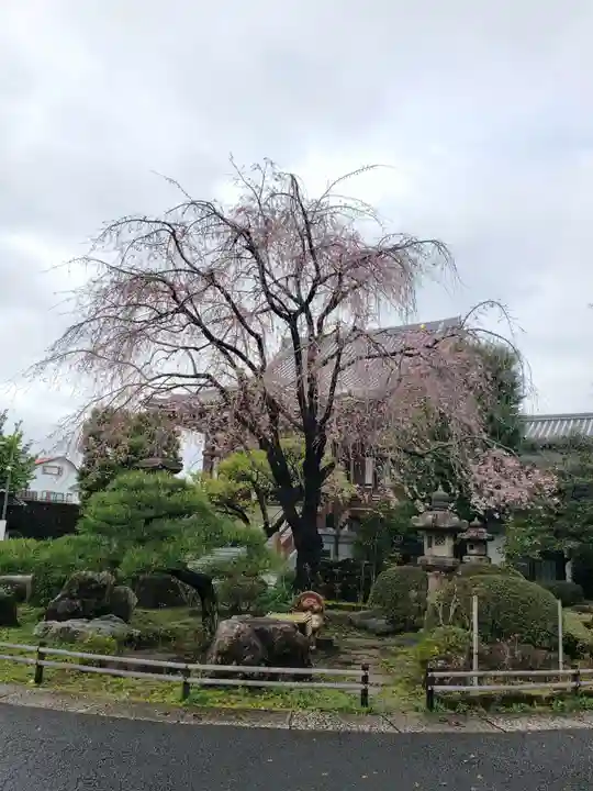 最勝寺(東京都)