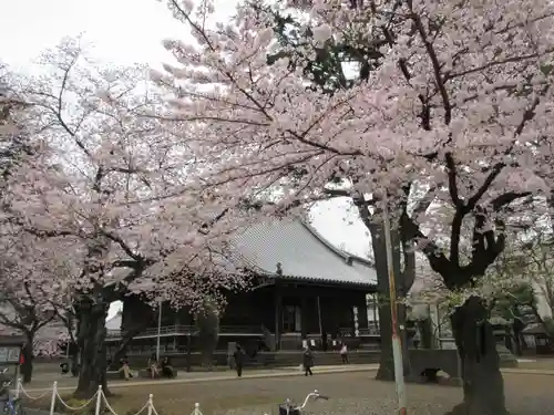 寛永寺(根本中堂)のその他建物