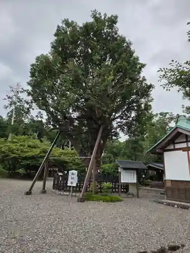 天宮神社(静岡県)
