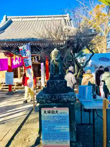 龍ケ崎八坂神社の狛犬