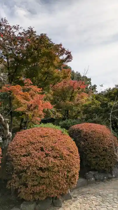 勧修寺(京都府)
