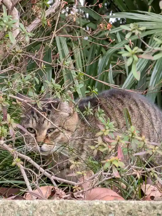 西照寺(東京都)