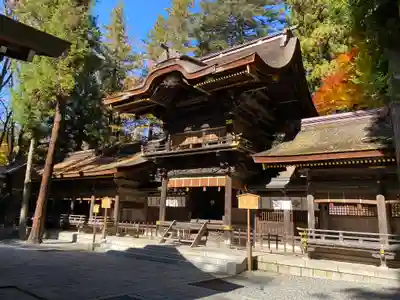 諏訪大社下社春宮の本殿・本堂