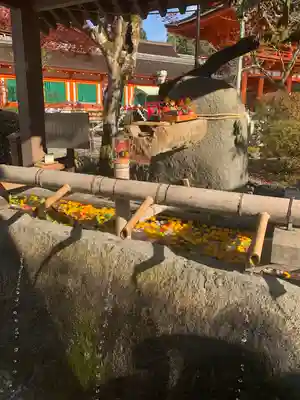 賀茂別雷神社（上賀茂神社）(京都府)