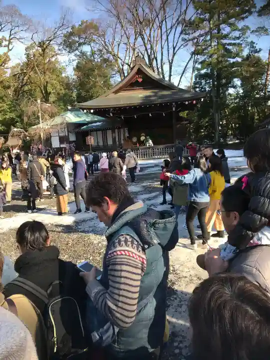 多賀大社の初詣