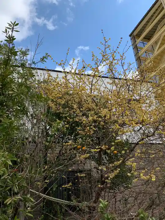 一宮神社の自然