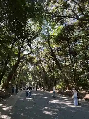 明治神宮(東京都)