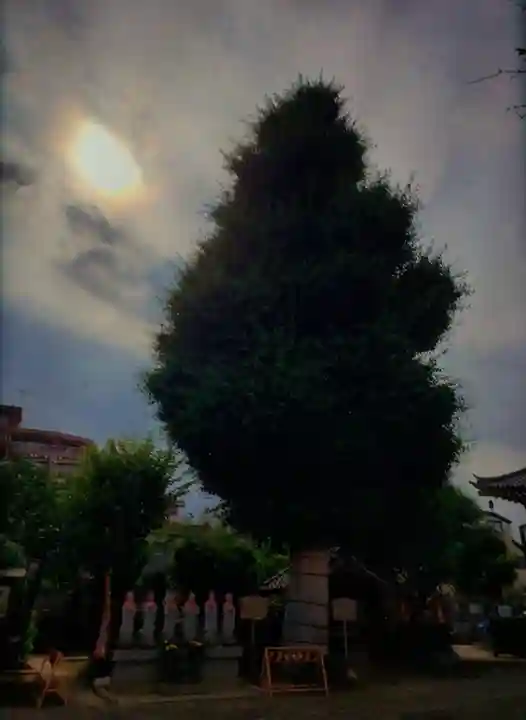 福王山 慈眼寺の地蔵