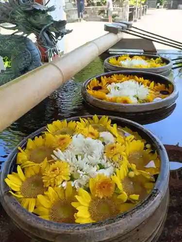 津島神社の手水舎
