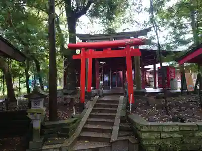 大杉神社(茨城県)