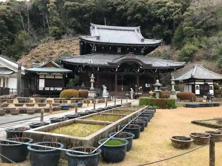 三室戸寺(京都府)