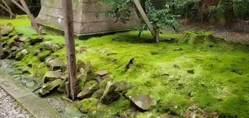 彌彦神社の自然
